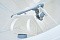 Biodevice ECO+ 8